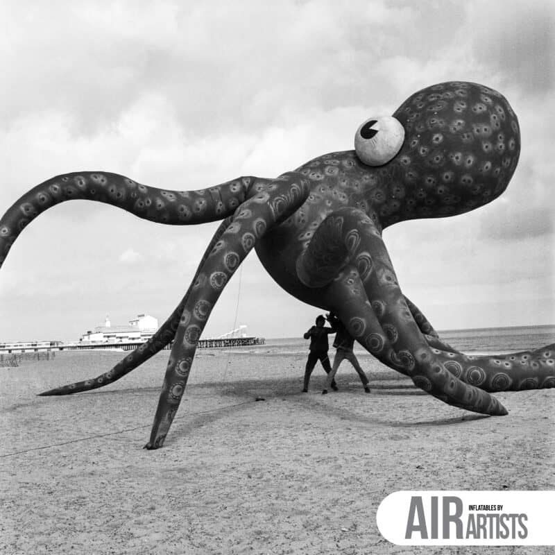 Air Artists Octopus